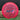 Prodigy Disc H7