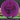 Streamline Neutron Range