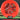 Thought Space Athletics Praxis - Aura Soft