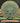 Axiom Envy Electron Green/Yellow 172g