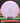 Axiom Envy Fission lilac-orange 152.3g