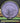 Axiom Paradox Proton Purple/Dayglow/Black 178g