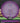 Axiom Pyro Prism Proton Purple/Purple/Silver/Rainbow 176g