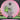 Discmania Founder C-Line White-Pink/Green-Silver 180.9g