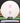 Discmania P1 P-Line Flex 2 White/Rose Gold 176g