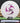 Discmania P2 White/Purple 175.4g