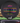 Discraft Luna Black/Rainbow 174g