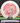 Discraft Luna Hard white/red lasers
