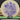 Discraft Sled Black Locust Stamp/Purple 179.2g