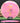 Dynamic Discs Convict Lucid Pink/Clear/Gold 174.5g
