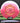 Innova Destroyer Champion Pink/White/Gold/Red 175.2g
