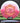 Innova Destroyer Champion Pink/White/Gold/Red 176.5g
