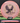 Innova Eagle Pro pink/black & gold sparkle 173.3g