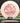 Innova Leopard Star Peach/Red 163g