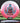Innova Rat CryZtal Pink-White/Teal 167.9g