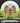 Innova Thunderbird White/Green/Purple Shatter/Maroon 176.6g