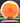 Latitude 64 Rive Opto Orange/White/Orange 173g