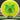 Latitude 64 Saint Opto Yellow/White/Green 173.7g
