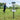 Marksman Disc Golf Basket