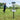 Marksman Disc Golf Basket
