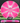 Meridian Discs Mojave Pink-White/Silver 174g