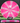 Meridian Discs Mojave Pink-White/Silver 174g