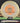 Mint Discs Freetail Nocturnal Halloween Nocturnal /Orange 174g