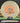Mint Discs Freetail Nocturnal Halloween Nocturnal /Orange 174g