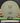 Mint Discs Lasso Nocturnal Glow/Gold & Black Checkered 175g