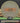 Mint Discs Lasso Nocturnal Glow/Orange 175g