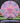 Mint Discs Lobster Swirly Apex pink/purple/pink 176.9g