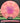 Mint Discs Lobster Swirly Apex Salmon/Magenta Shatter "Mighty Mouse" 175g