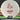 Mint Discs Royal Soft Lobster