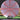 Mint Discs Apex Swirl Longhorn