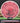MVP Cypher Proton Pink/Black 173g
