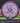 MVP Deflector Proton Purple 174.5g