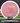 MVP Dimension Neutron Plum 173g