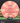 MVP Entropy Peach/Black 171g