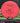 MVP Ion red 177.5g