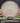 MVP Lab Second Discs (Factory Seconds) Eclipse Crave green-magenta/pink 173g