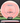MVP Signal Plasma pink 158.5g