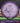 MVP Volt Proton Purple 169.4g