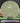 MVP Watt Cosmic Electron Green 174.3g