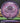 Streamline Jet Proton purple 177.3g