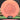 Streamline Discs Fission Trace