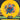 Thought Space Athletics Vessel Yellow/Blue/Red 174.1g